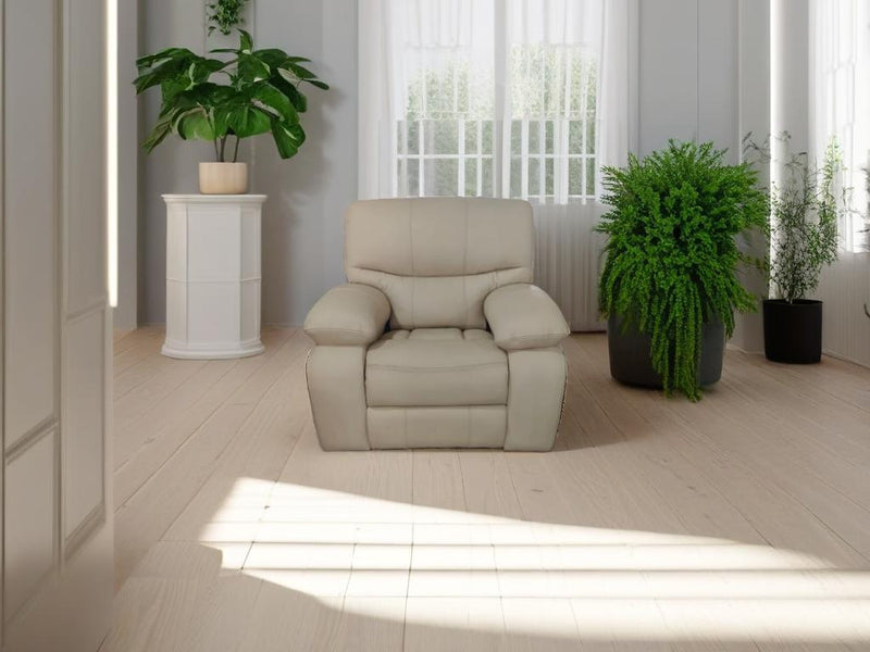 Ashley Leather Recliner