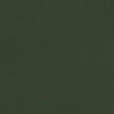 Boucle Forest